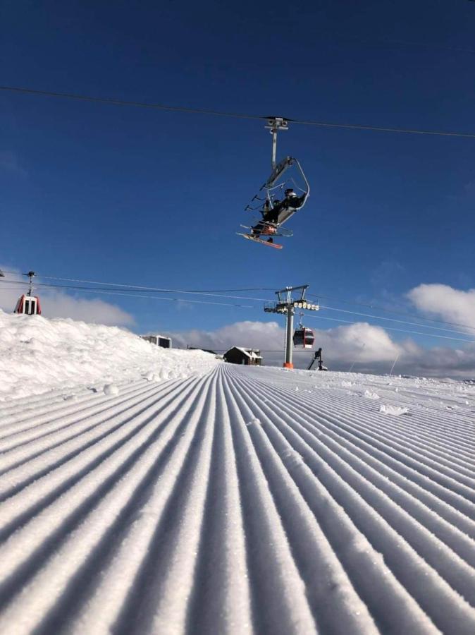 New Gudauri Redco Twins-Premium Mountain Apartment Close The Gondola Lift Экстерьер фото